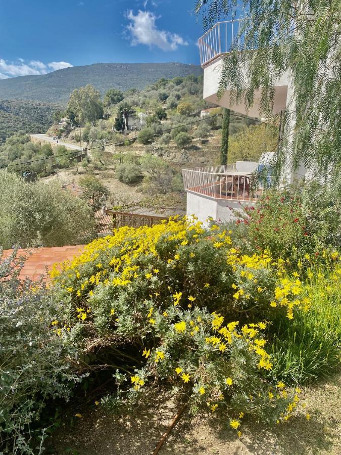 Ses Terrasses Lejlighed Cadaqués Eksteriør billede
